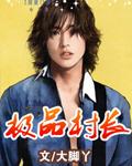 极品村长免费版