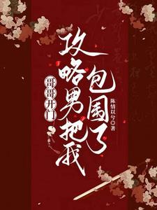 攻略哥哥
