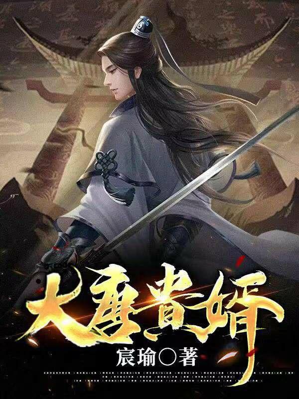大唐赘婿文