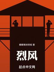 烈风马丁山地车