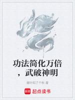 武能破法是什么电影