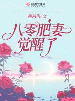 八零肥妻又怀孕了