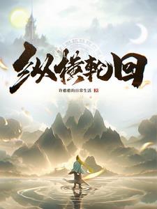 纵横讲的什么