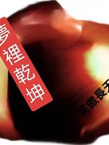 乾坤一梦什么意思