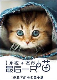 全地球最后一只猫