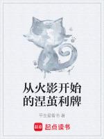 从火影开始的涅茧利牌TXT