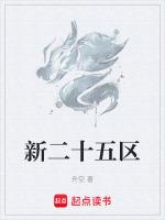 二五区是什么意思