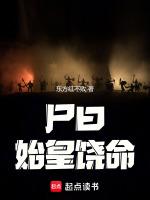 始皇以故辍止的翻译