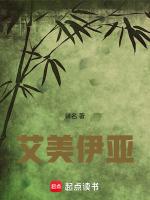 艾美亚定制家具