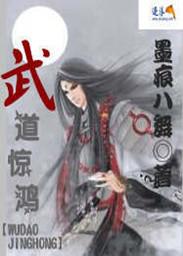 武道惊鸿一瞥