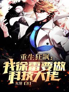 重生狂飙我徐雷要做科技大佬 第530章