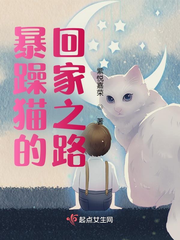 暴躁的野猫