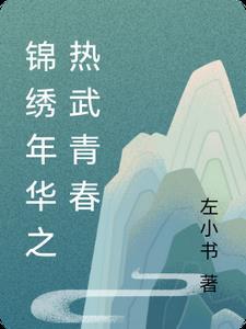 锦绣年华的意思