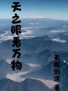 天之眼在哪个区