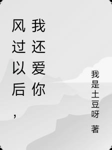 风过了歌曲