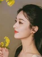 折桂而归怎么读
