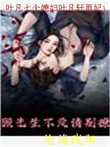 叶凡几个女人
