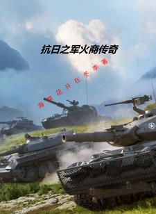 我在抗日卖军火免费阅读