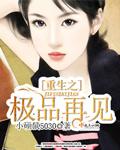重生之极品再见类似