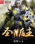 圣盾霞给什么装备