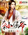 大宋小都督