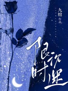 限时沉迷TXT全本