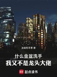 我又不是龙头大佬全本