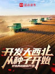 开发大西北什么意思