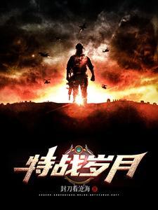 特战先锋片尾曲岁月有情原唱