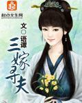 三嫁寻夫 语谭