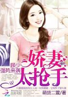 顾少蜜宠小萌妻免费阅读全文