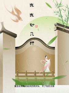 岁岁有什么意思