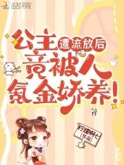 公主被掳走去塞外