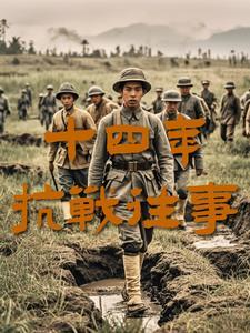 14年的抗日