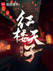 红楼之天命皇子爱看书吧