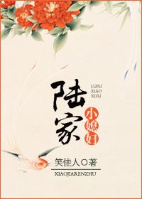 陆家小媳妇在线阅读