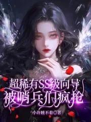 哨兵向导设定强强