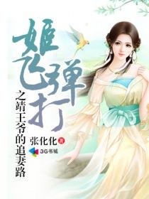 姬飞弹打之靖王爷的追妻之路txt
