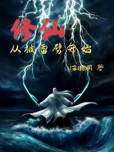主角被雷劈的修仙