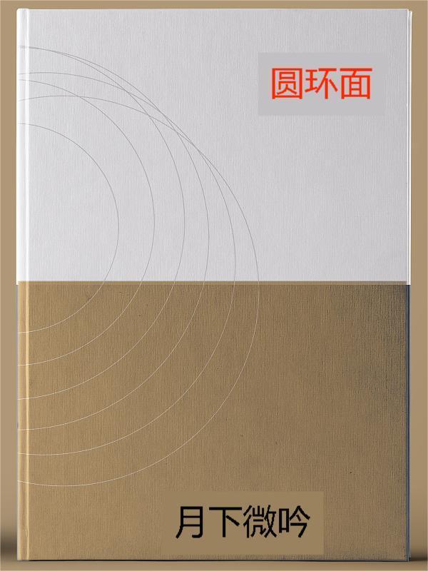 圆环面的欧拉示性数是多少