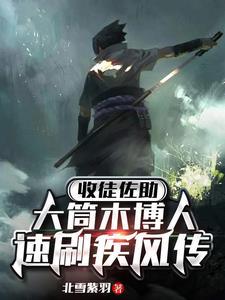 博人这才是疾风传