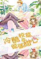 冷酷校草的倔强甜心txt