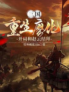 三国重生之新野刘备