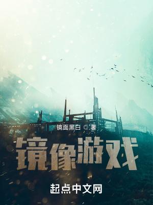 镜像版游戏什么意思
