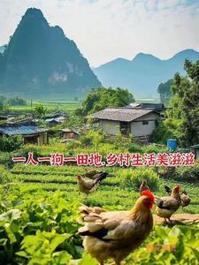 最牛小神医txt