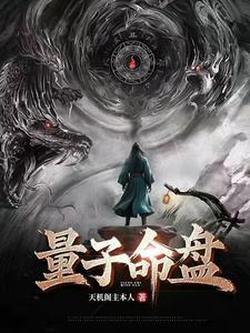 量子盘子有什么用
