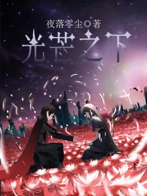 光芒之剑动画片叫什么名字