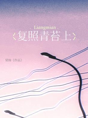 王维复照青苔上