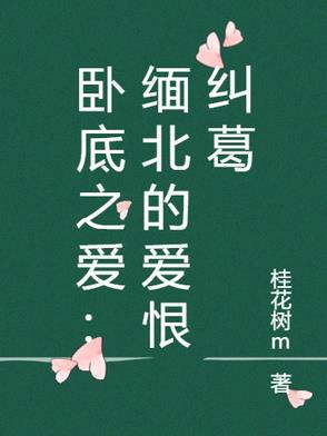 电视剧卧底