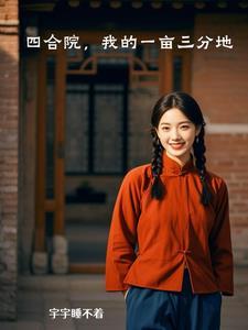 2亩地的四合院